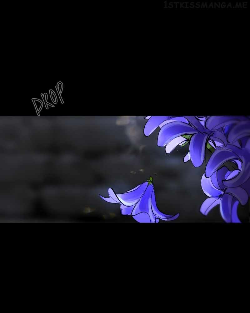 Purple Hyacinth Chapter 163 204